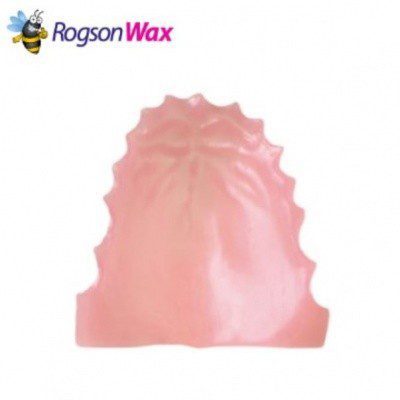 Paladar Anatómico Universal